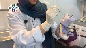 راهنمای گاواژ دهان برای موش و رت