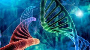 ترسیم برهمکنشهای ژنها،پروتئینها، mRNA، متابولیتها، داروها و غیره