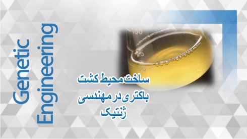 ساخت محیط کشت باکتری