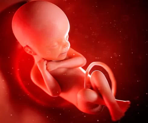 پیش بینی سقط جنین با آنالیز ژنوم؟!