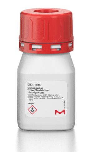 کلاژناز چیست؟