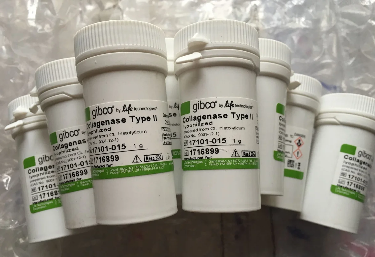 کلاژناز گیبکو