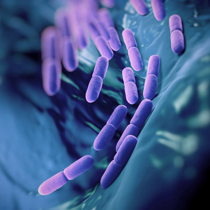 https://www.geniranlab.ir/17963/%d8%aa%d8%ad%d9%82%db%8c%d9%82%d8%a7%d8%aa-%d8%ac%d8%af%db%8c%d8%af-%d9%86%d8%b4%d8%a7%d9%86-%d9%85%db%8c%d8%af%d9%87%d8%af-%da%a9%d9%87-%d9%be%d8%b1%d9%88%d8%a8%db%8c%d9%88%d8%aa%db%8c%da%a91.html