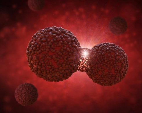 چرا سلول‌های سرطانی به چربی نیاز دارند