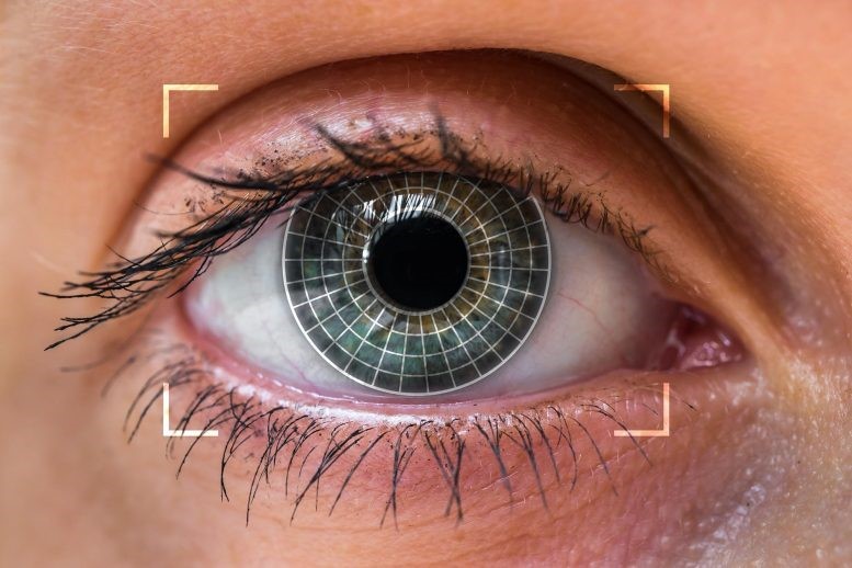 adhd یا اوتیسم