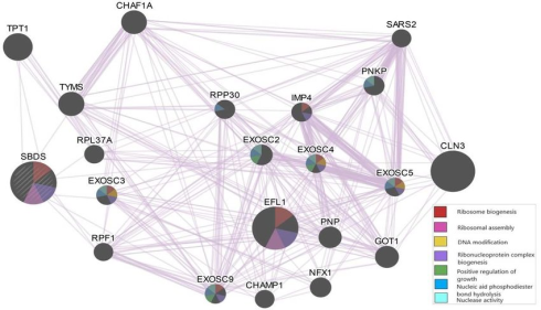نرمافزار سایتواسکیپ (Cytoscape)