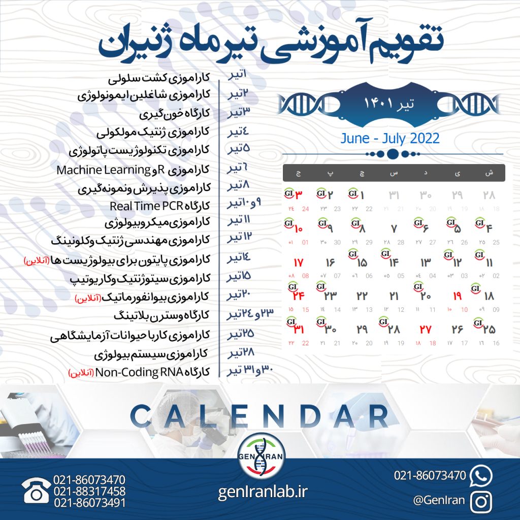 تیر