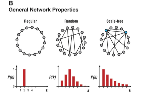 موتیف های شبکه