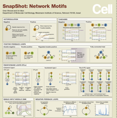 موتیف های شبکه