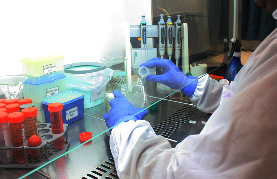 کشت رده سلولی