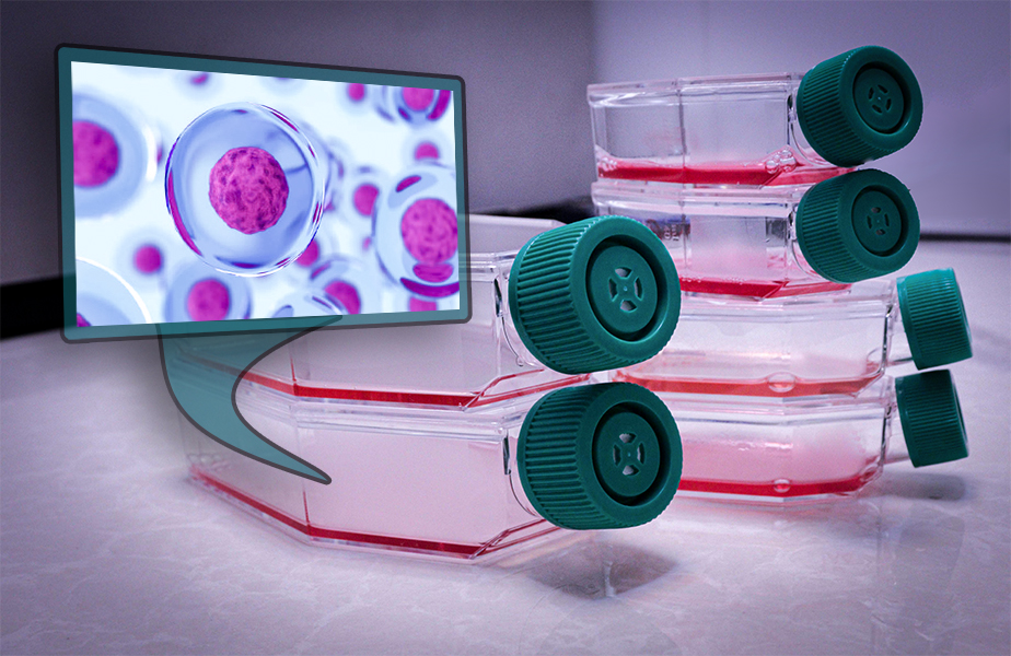 کشت سلول های بنیادی و بررسی تمایز آنها