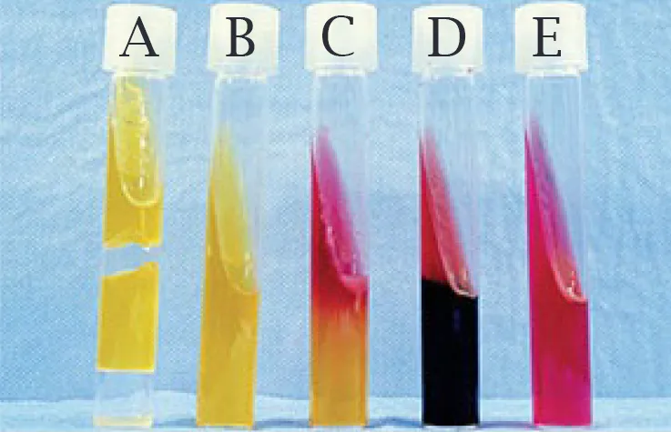 کلیگلر آیرون آگار (Kligler’s Iron Agar (KIA)) اصول، رویه، نتایج