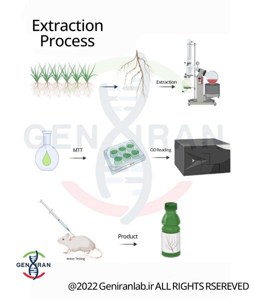 گرافیکال آبسترکت خلاصه تصویری - graphical abstract