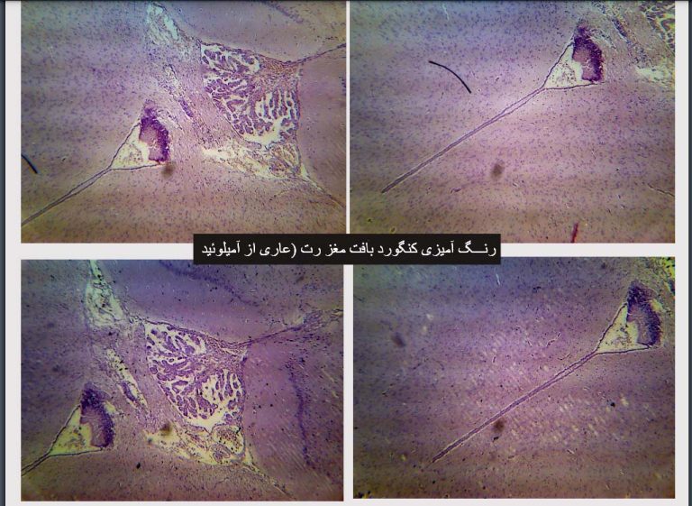 رنگ آمیزی کنگورد