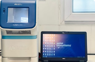 ریل تایم پی سی آر