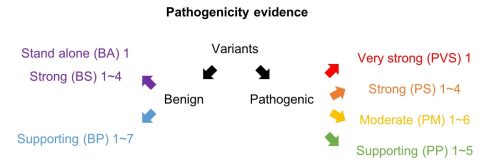 گایدلاین ACMG