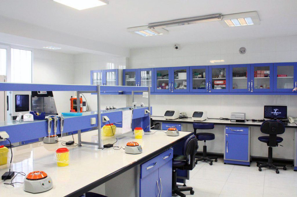 lab