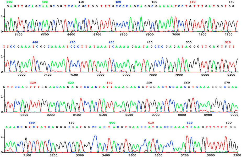 آنالیز تعیین توالی (DNA Sequencing) بیماری های ژنتیک