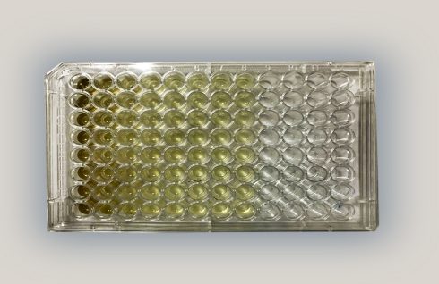 خدمات تست MIC و MBC