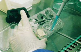 دوره های تخصصی