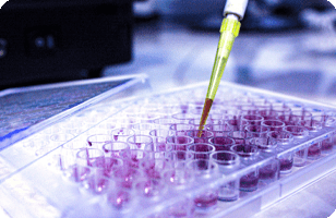 دوره های عمومی