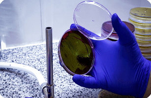 میکروبیولوژی