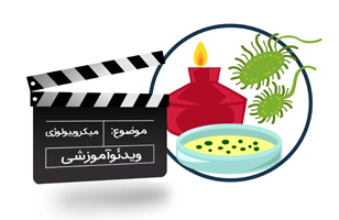 میکروبیولوژی