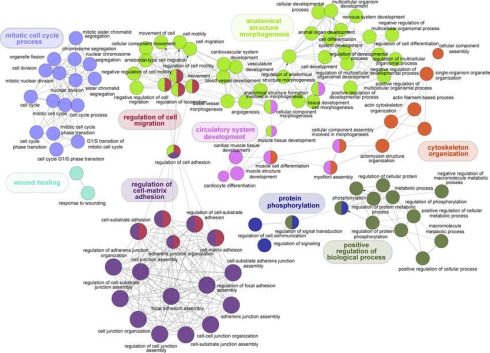 ابزارها و نرم افزارهای آنالیز شبکه و مسیر