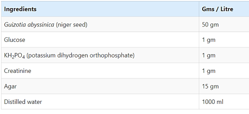 ترکیب آگار Bird Seed