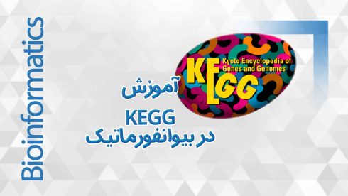 ابزارها و نرم افزارهای آنالیز شبکه و مسیر