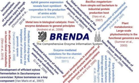 پایگاه های اطلاعاتی آنزیم brenda