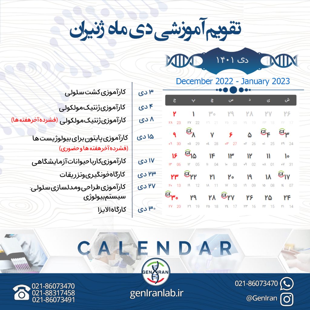 دی