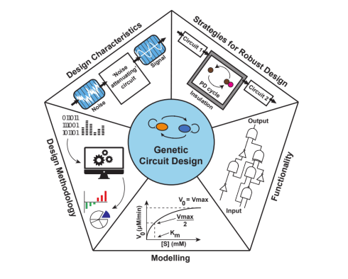 طراحی مدارهای بیولوژیکی