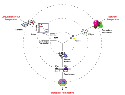 طراحی مدار مجتمع 