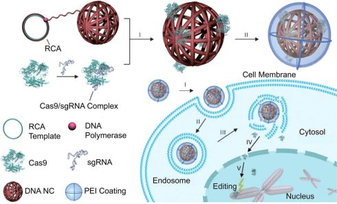 فارماکولوژی بالینی