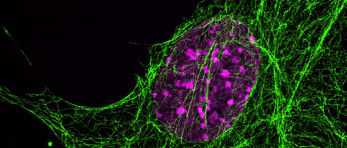 مبانی طراحی پروتئین