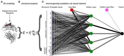 پیش‌بینی فعالیت پپتید ضد سرطان