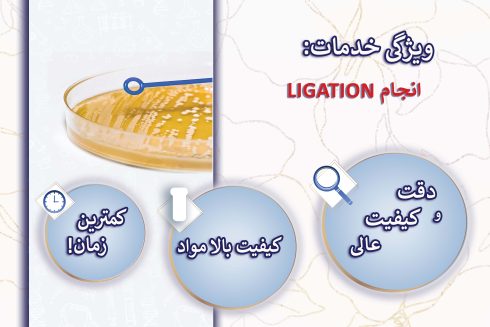 انجام LIGATION