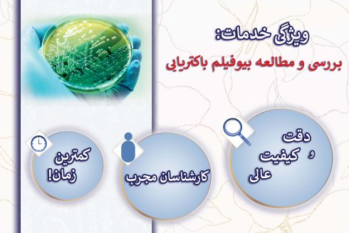 بررسی و مطالعه بیوفیلم باکتریایی