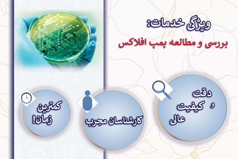 بررسی و مطالعه پمپ افلاکس