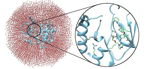 تاریخچه و تکامل رویکردهای in silico