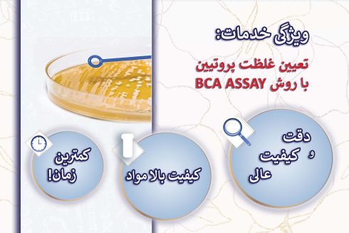 تعیین غلظت پروتیین با روش BCA ASSAY