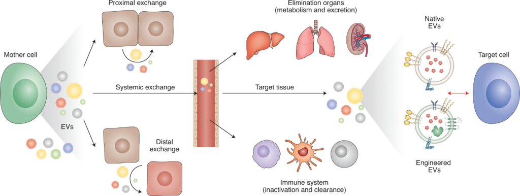 تکنیک طراحی دارو یا Drug delivery