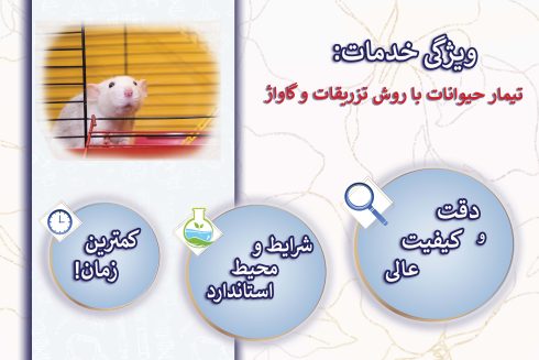تیمار حیوانات با روش تزریقات و گاواژ