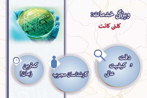 خدمات کلنی کانت