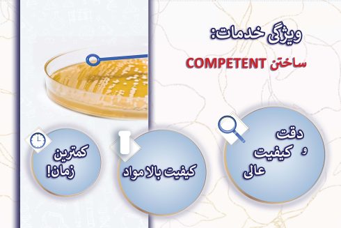 ساختن COMPETENT