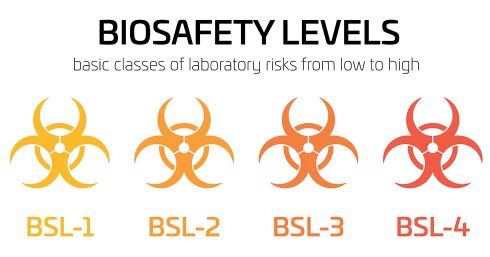 سطوح ایمنی زیستی