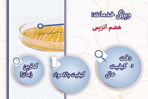 هضم آنزیمی