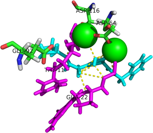 پروفایل قرابت مجازی (Virtual affinity profiling)