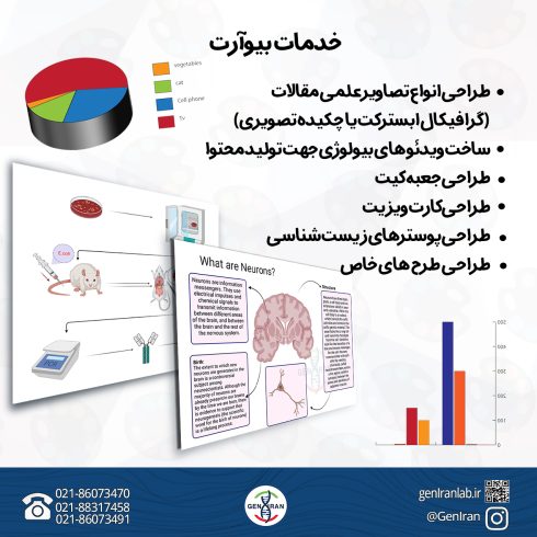 خدمات بیوارت